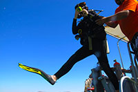 Cabo Scuba Diving